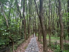 -同里国家湿地公园