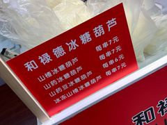 -和禄德冰糖葫芦