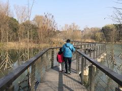 -昆山城市生态森林公园