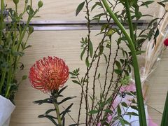 -亭亭鲜花店(中山北路店)