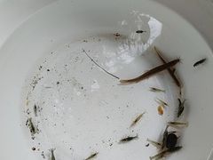 -石榴庄公园