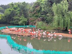 -宁波野生动物园