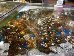-盒马鲜生(杭州运河上街店)