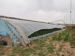-大自然农场蔬菜草莓采摘园