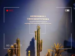 -重庆欢乐海底世界