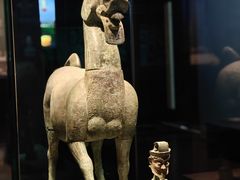 -广西壮族自治区博物馆