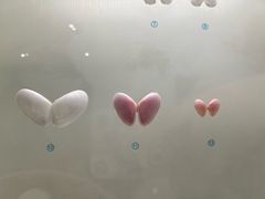 -青岛贝壳博物馆