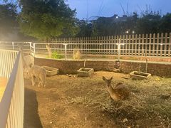 -丽泽山庄·生态怀柔菜·虹鳟鱼(红螺寺店)