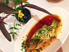 -看见远方·莫干遥远的山民宿