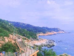 -广东惠东海龟国家级自然保护区