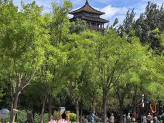 -莲花池公园