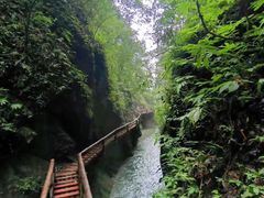 -青城山