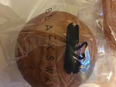 -BLACKSWAN黑天鹅(环球店)