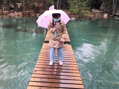 -大鹅岛绿色生态美食园