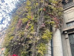 -桂发祥十八街麻花(和平路店)