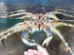 -青石桥市场北1-27号