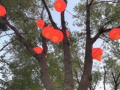-武汉园博园(武汉自然博物馆)