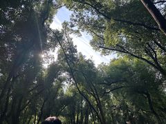 -东湖落雁景区