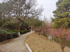 -虞山风景区