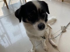 -平行世界·猫咖(首经贸店)