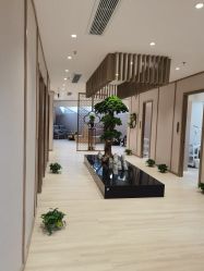 -HQ半永久纹绣纹眉