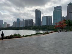 -万绿园