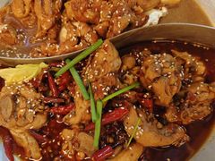 -成老灶火锅鸡(平山店)