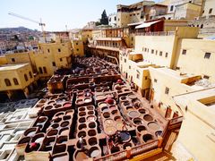 -穆莱拉赫制革厂