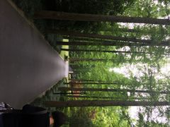 怡沁园度假村-上海怡沁园度假酒店