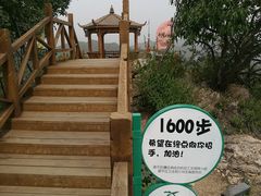 -大岭沟猕猴桃谷风景区