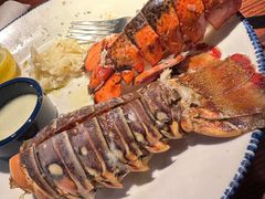 -RED LOBSTER(多伦多DT店)