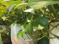 -砂唐居(总店)