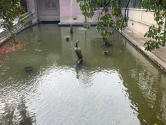 -韶山毛泽东同志故居