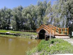 -白渔泡湿地公园