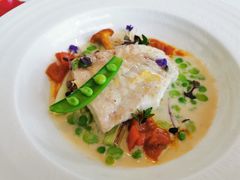 -蝶舍·MAISON PAPILLON