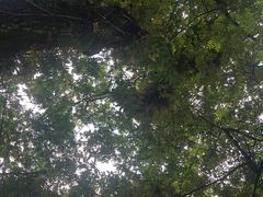 -稻花香土菜馆