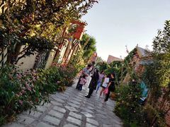 -特克斯八卦城