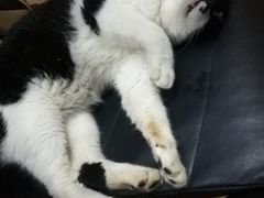 -佳百利宠物(荣乐中路115弄小区店)