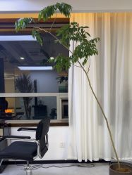 -V7 HAIR SALON