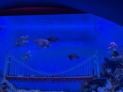 -太平洋海底世界