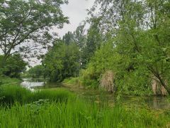 -梁鸿国家湿地公园