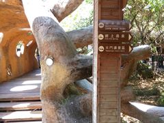 -天门沟九州驿站树上汤泉