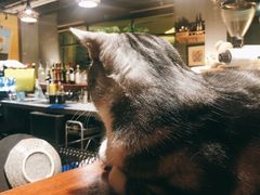 -咖法森林·咖啡  酒吧(天河店)