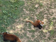 -石家庄市动物园