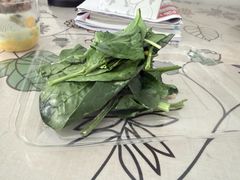 -Wagas沃歌斯(枫蓝国际店)