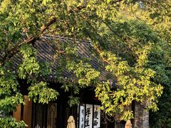 -扬州大运河文化旅游度假区·盆景园