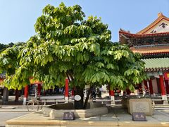 -广东圆玄道观