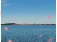 -丁香湖公园