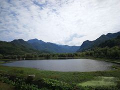 -后柳水乡