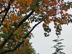 -白鹭湾湿地公园